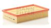 FORD 1900159 Air Filter